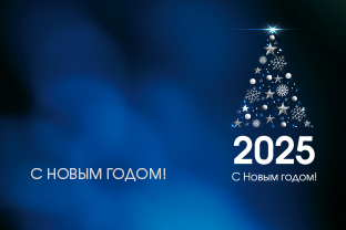 С НОВЫМ ГОДОМ! С НОВЫМ ГОДОМ!